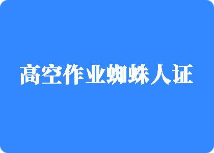 女人的骚逼被男人的鸡巴暴操的视频高空作业蜘蛛人证